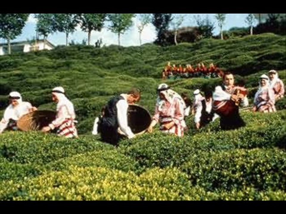 Cimilli Ibo  -  Uzun Uzun Saçlari -  BY Panturkiste