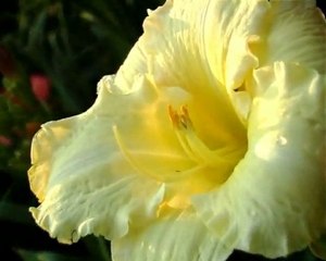 181 PURSUIT OF EXELLENCE