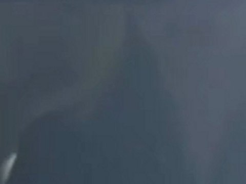 EXCLUSIVE: Amy Smart Spotted In Beverly Hills