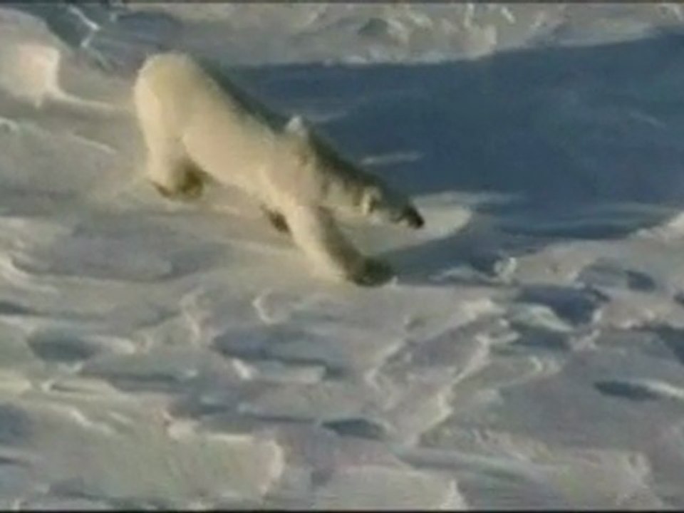 Terre de glace