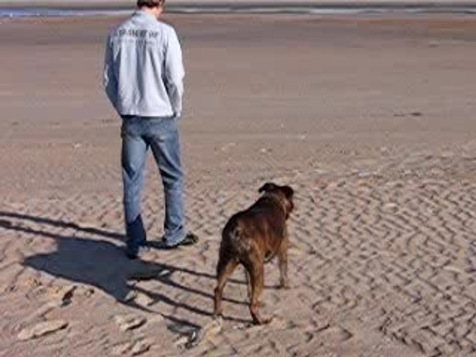 Zoé à la mer du nord...