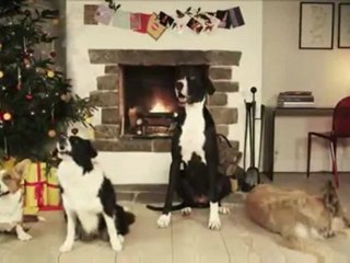 Dogs Bark Jingle Bells