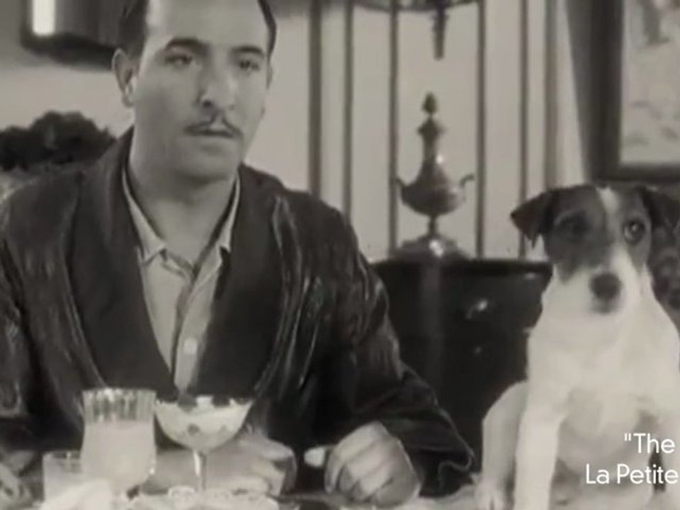 Uggie, Malachy and Brigitte Are Most Popular Celebrity Dogs