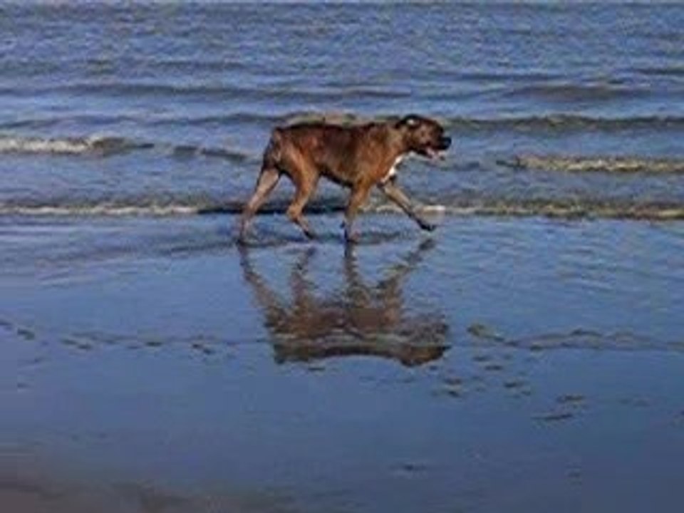 Un p'tit tour dans l'eau !?!