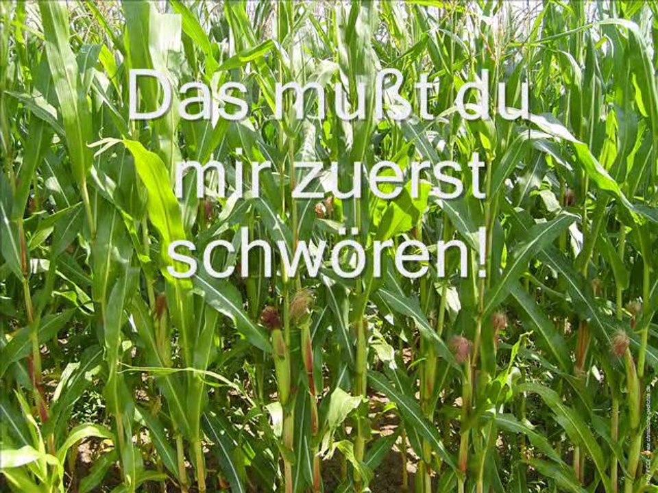 Filmclip Esau verkauft sein Erstgeburtsrecht!