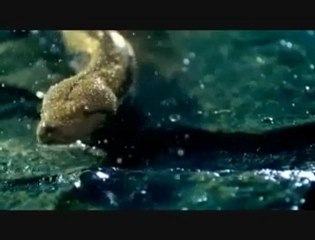 RUHLARIN VUSLATI  HER ŞEY BİR YUDUM AŞKLA BAŞLADI