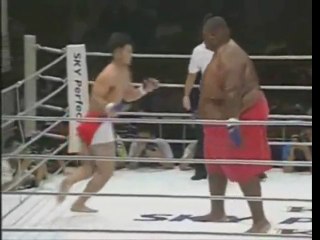 600lbs Sumo Vs. 169lbs MMA Fighter