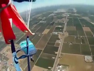 Otis The Skydiving Pug!