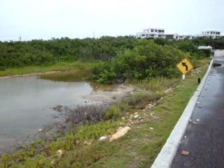 Anguilla's Gull pond after tropical storm Emily of August  2011
