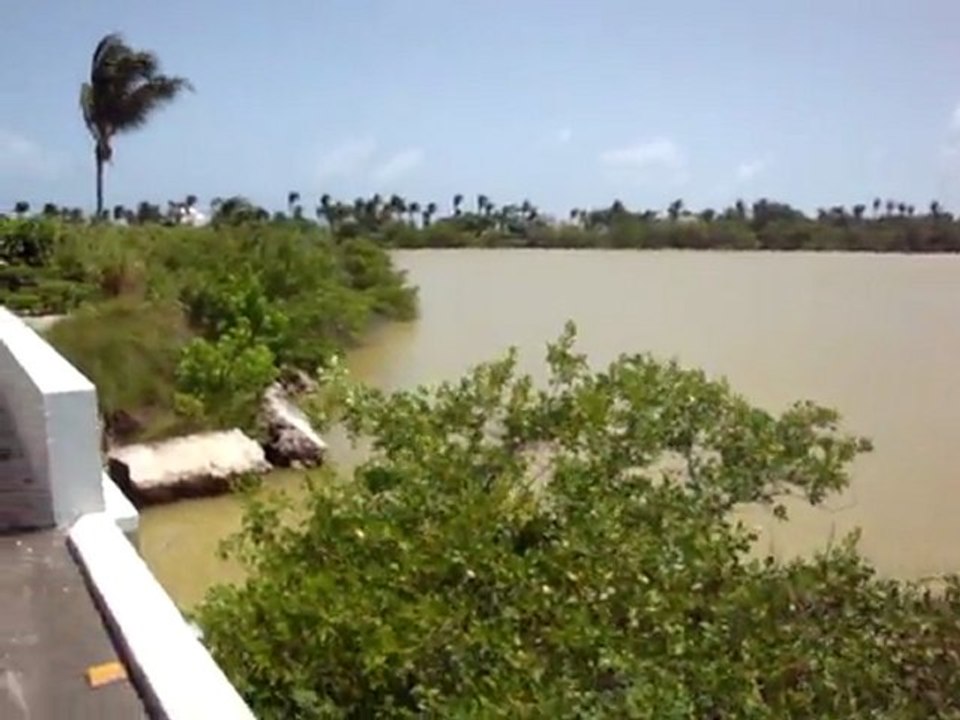 Anguilla's Gull Pond along Maundays Bay road video 2