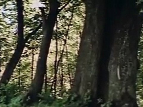 24 Баллада о вольных стрелках-Стрелы Робин Гуда