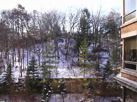 Dave Elfassy Vaughan Real Estate: 3600 Yonge Street, ...