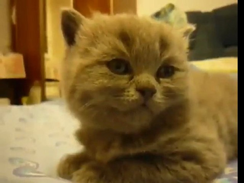 Fell asleep instantly!