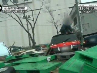 Tsunami Japanese inside a car!