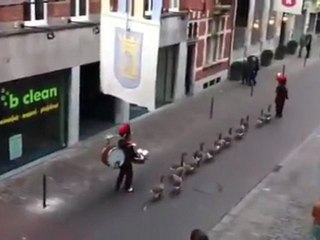 Goose Parade