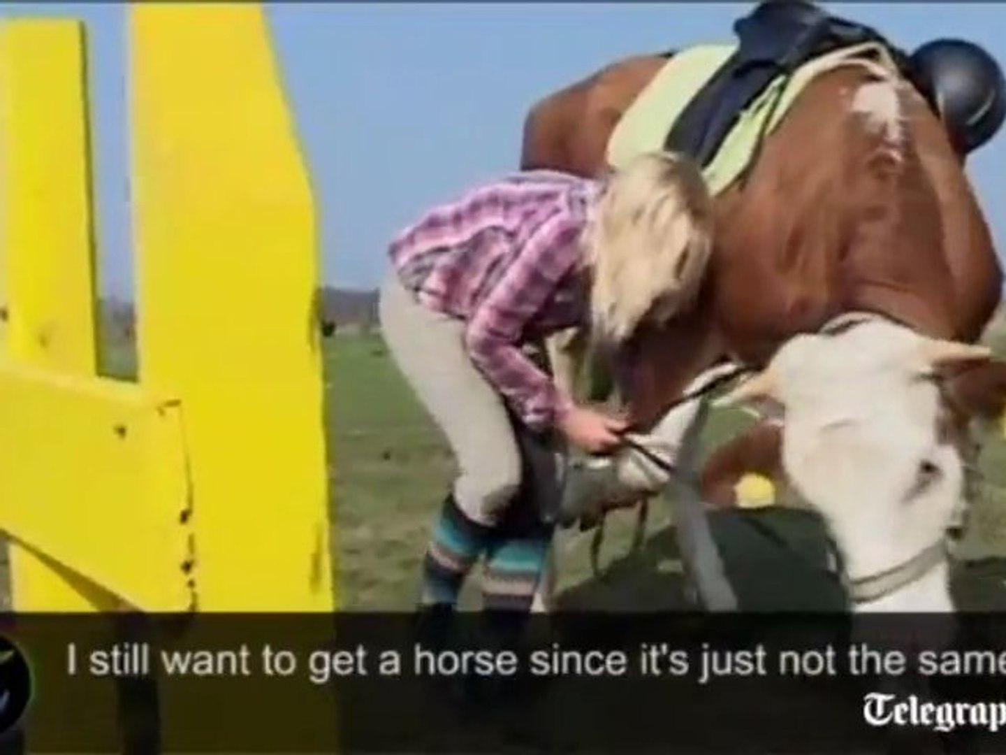 ⁣Showjumping cow