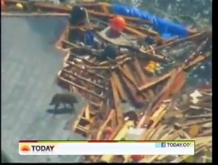 Miracle Dog rescued from floating debris in Japan!