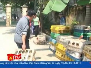 Mang dao, súng 'hộ tống' xe biển giả chở gà lậu