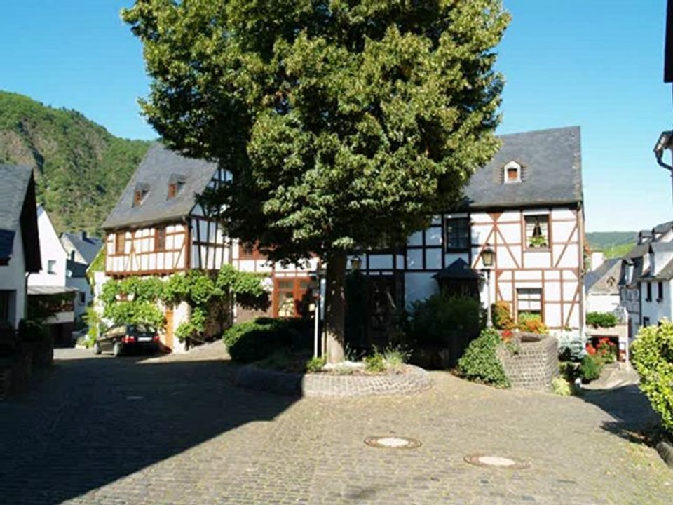 Mosel Radweg Impressionen