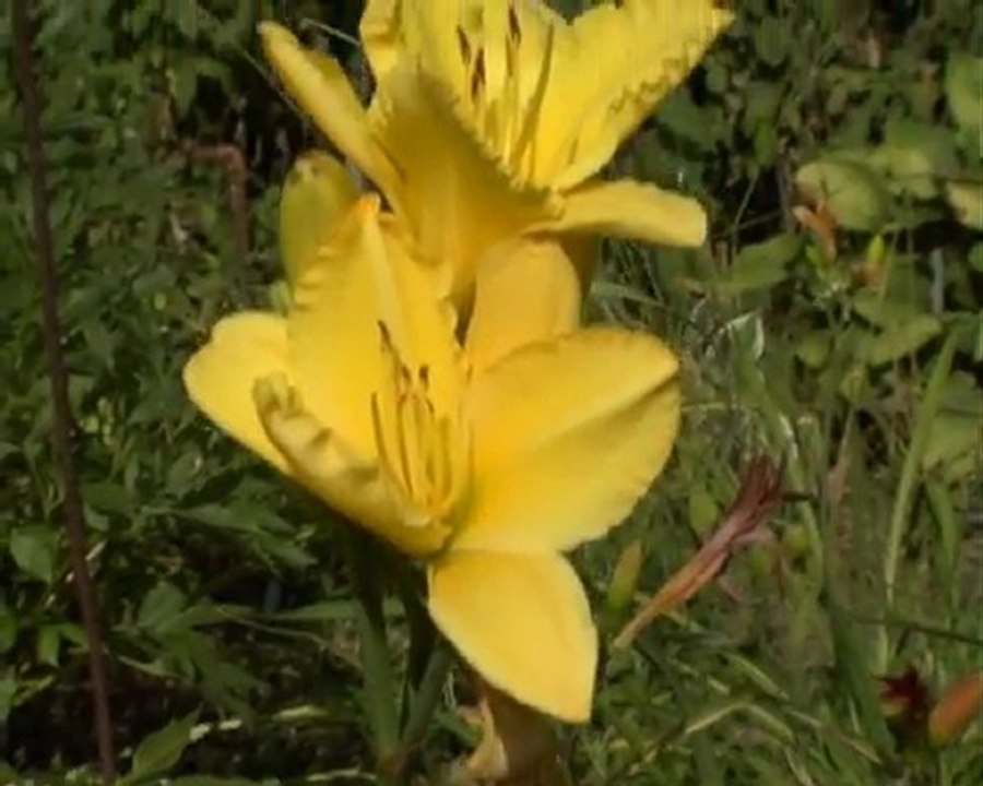 218 SOVERENITA