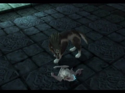 Zelda : Twilight Princess - Wii - 16/Au Secours de Midona