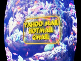 Does First Page Google Rank Bring Massive Traffic