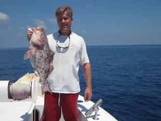 Grouper Fishing In The Gulf