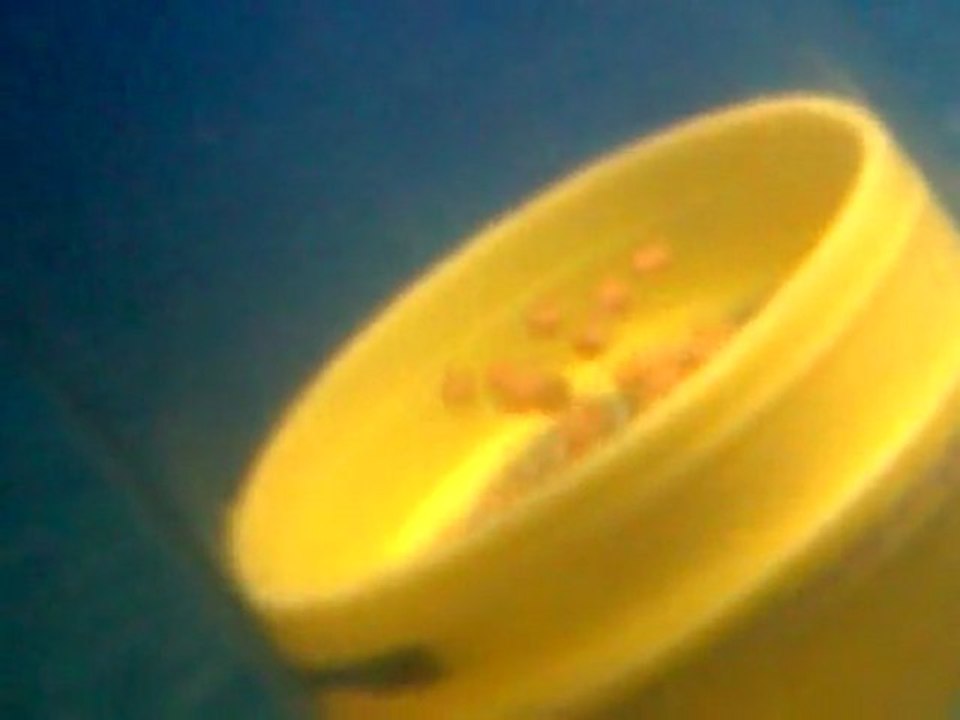Photo0007