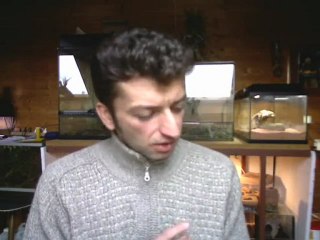 Les vertus de l'ail et de l'oignon