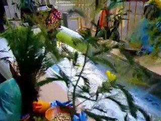 premios-xoves de comadres de monforte 2012