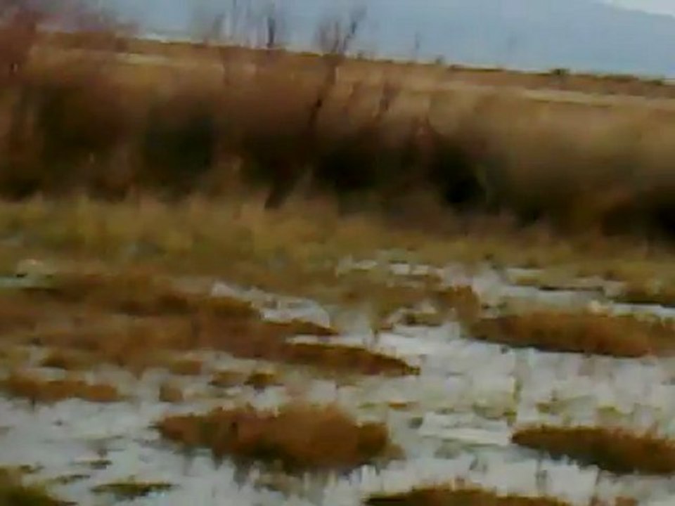 suculluk