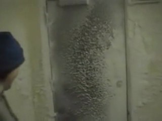 Antarctica Condition 1 Weather