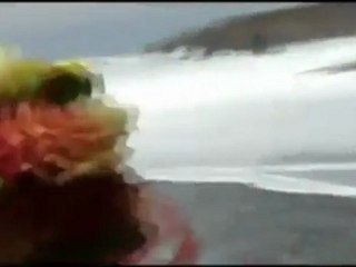 Young married couple on the beach