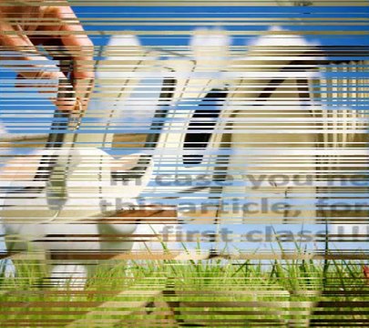 Johannesburg Cheap Flights Johannesburg Cheap Flights