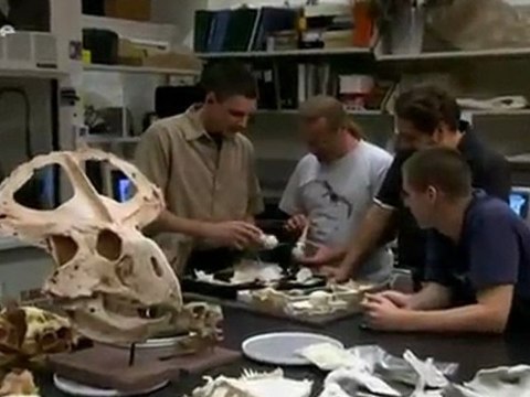 Vor 70 Millionen Jahren - Folge 3 - _Der Kannibale -Mahajongatolus - Madagaskar