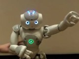 Humanoid robot with bit of sense humor