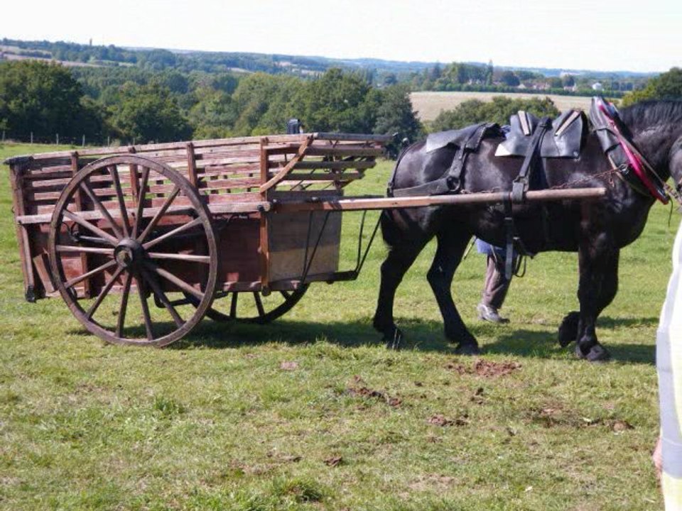 Translyre et la Fête du percheron 15 Août 2011