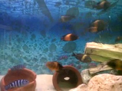 VID 00061-20120216-2259