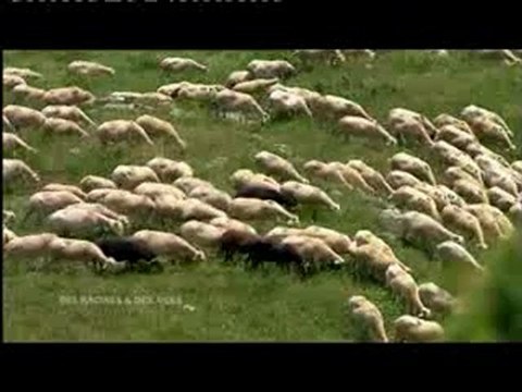 Formation berger vacher part 3 CFPPA des Hautes-Pyrénées