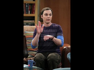 Big Bang Theory Season 5 Episode 17 - The Rothman Disintegration Part 1x5