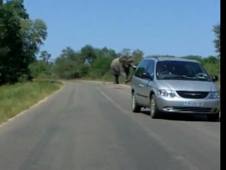Elephant Charges Fail