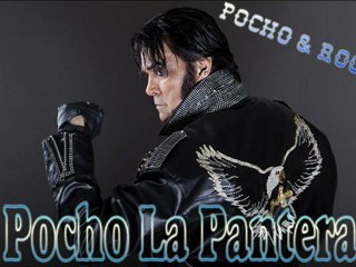 Pocho La Pantera - Fui Hecho Para Amarte