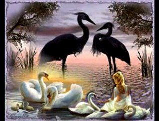 HAMDİ BAYRAKTAR AŞK SARHOŞU