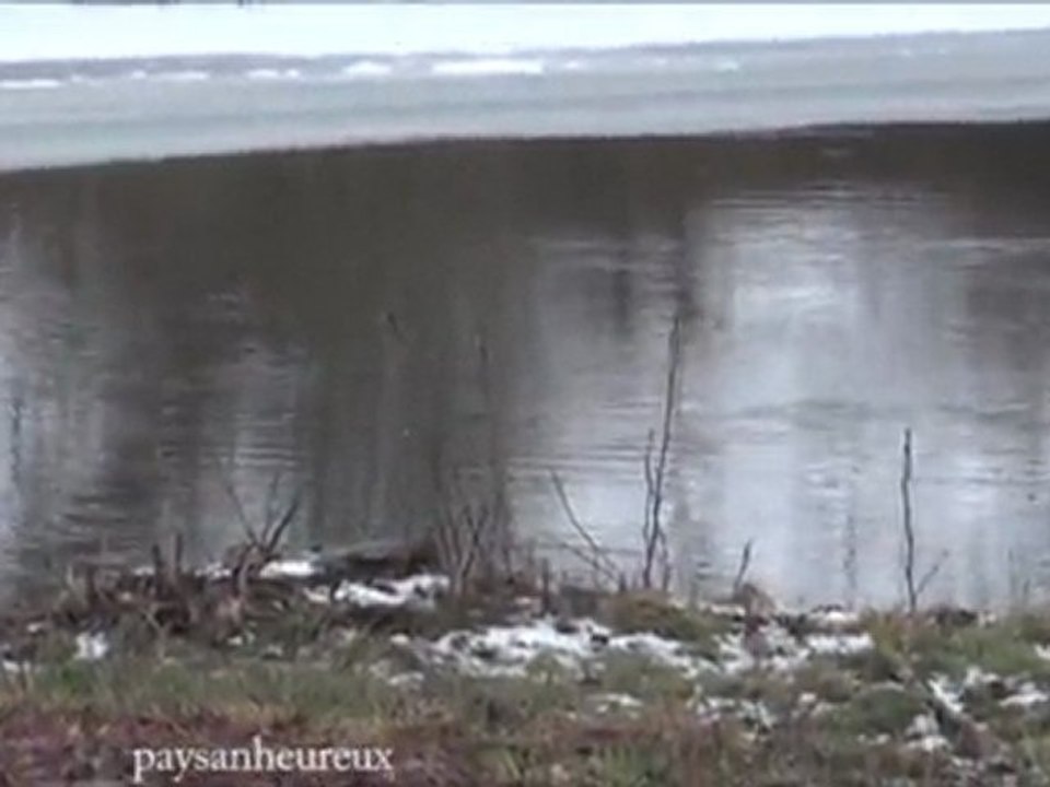 pêche