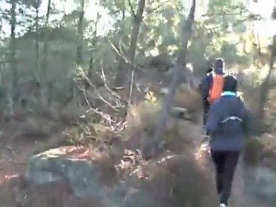 les 25 bosses , forêt des 3 pignons