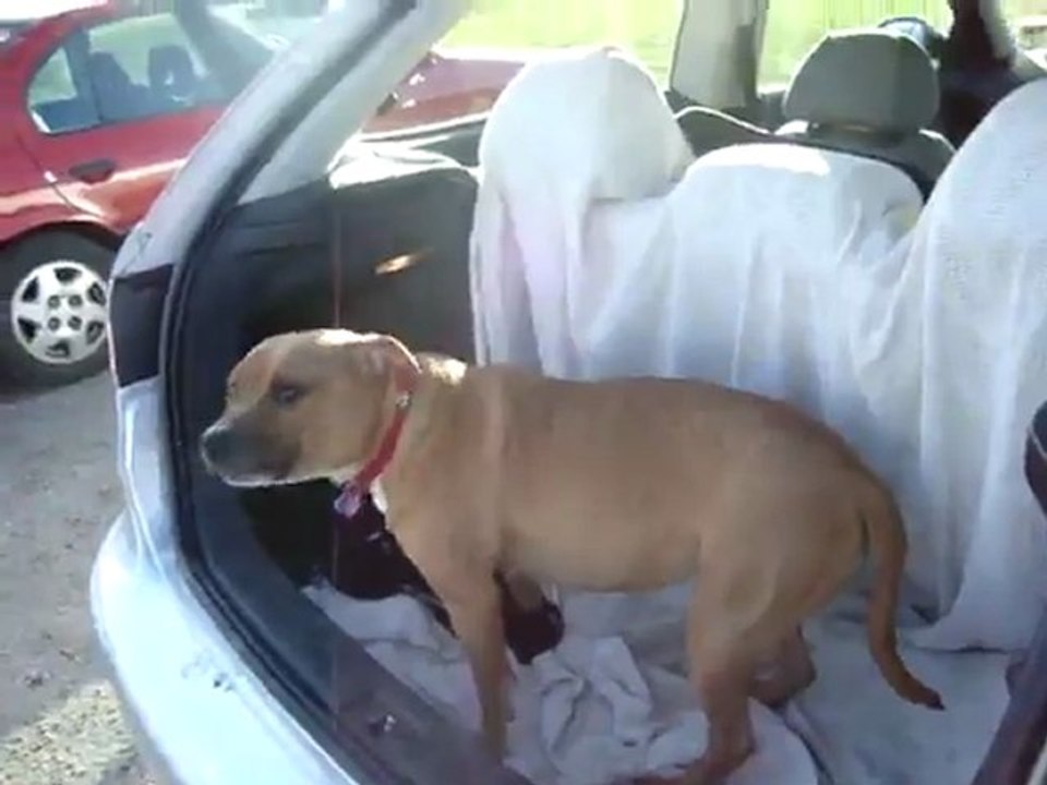 Catherine coming back from her daily walk