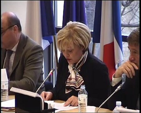 Pascale GRUNY présente son rapport sur la future directive européenne taxation de l'énergie
