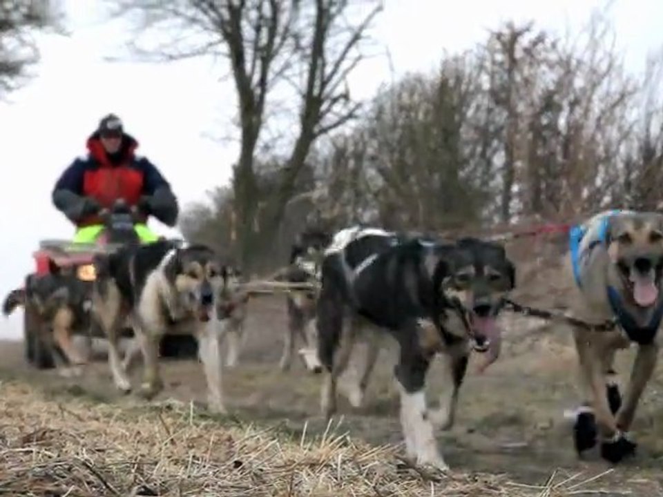 just another training run