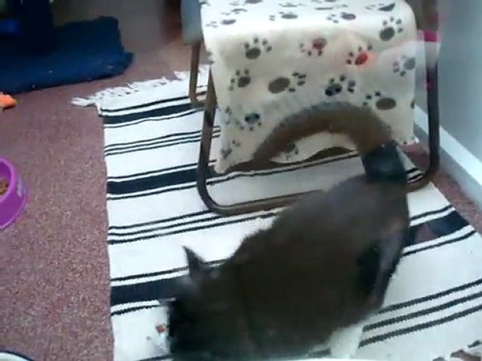 Cinders get a treat!