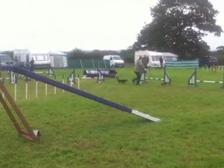 Little Joey shows off his agility skills!
